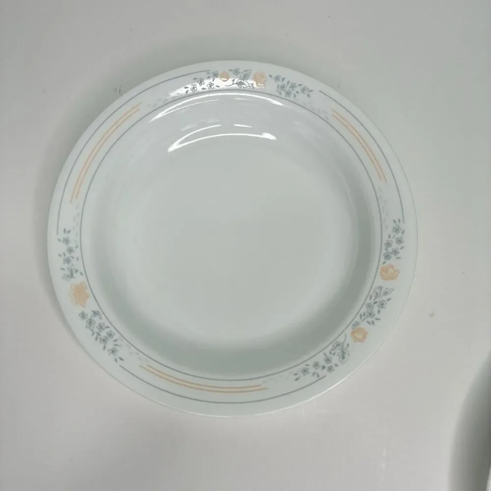 Corelle Apricot Grove Set of 4 Flat Rimmed Shallow Soup Salad Pasta Bowls 8.5